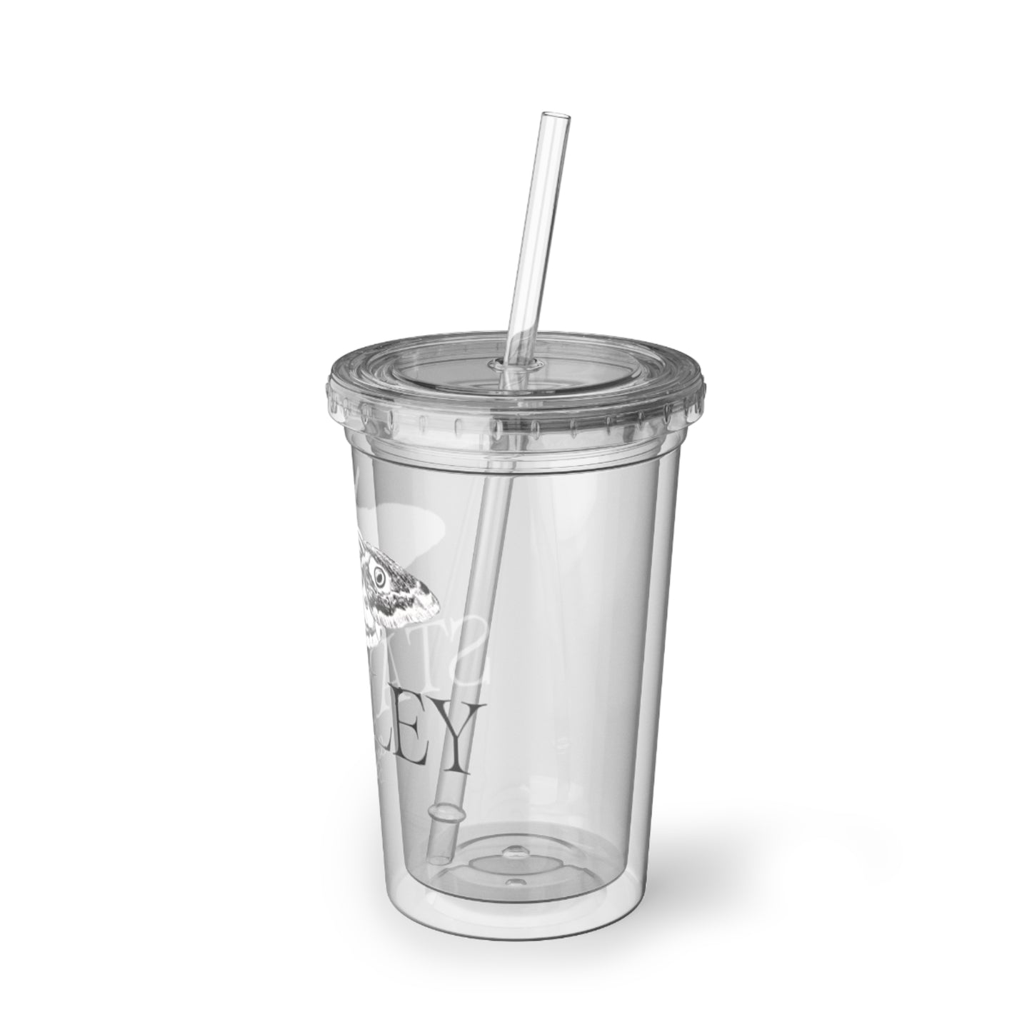 Stylish Acrylic Cup With Straw